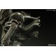 Alien Statue Internecivus Raptus 56 cm